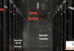 Top Linux Server