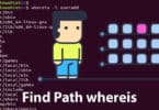 Find Path of a Command with whereis