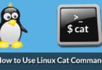 How to Use Linux Cat Command