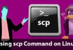 Using scp Command on Linux