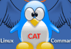 Linux cat Command