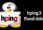 hping3 flood ddos