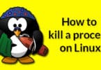 How to kill a process on Linux