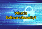 What is Software Security?