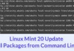 Linux Mint 20 Update all Packages from Command Line