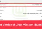 What Version of Linux Mint Am I Running?