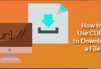 How to Use CURL to Download a File
