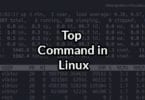 Top Command in Linux