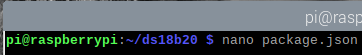 nano package json