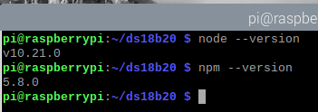 npm version