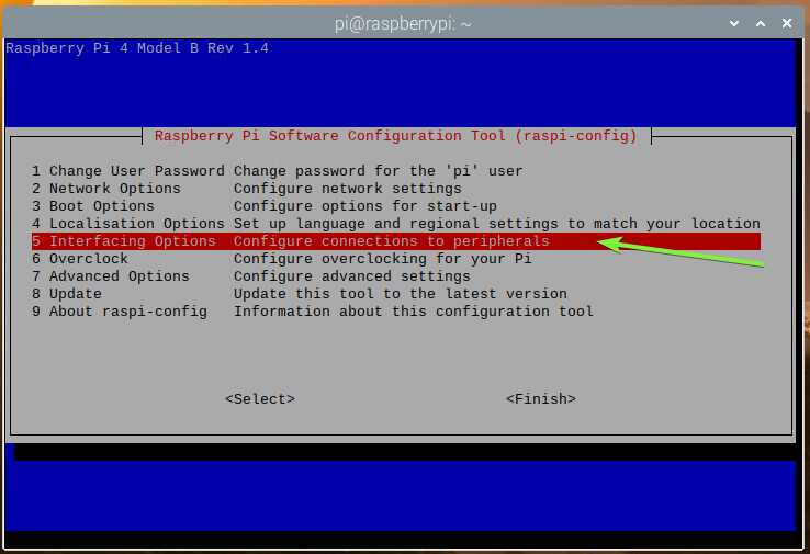 pi at raspberry interfacing options