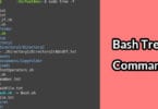 Bash Tree Command