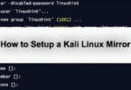 How to Setup a Kali Linux Mirror