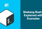 Shebang Bash: Explained with Examples